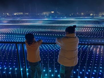 東京メガイルミに投稿された画像（2023/11/24）