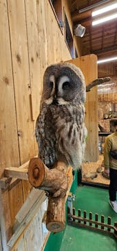 伊豆ぐらんぱる公園に投稿された画像（2023/11/24）