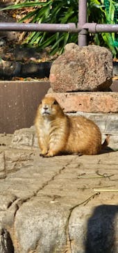 伊豆ぐらんぱる公園に投稿された画像（2023/11/24）