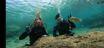 武藤潜水に投稿された画像（2023/11/24）