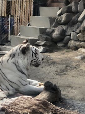 東武動物公園に投稿された画像（2023/11/23）