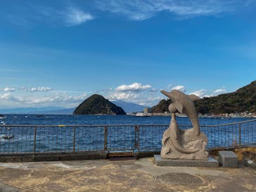 伊豆・三津シーパラダイスに投稿された画像（2023/11/24）