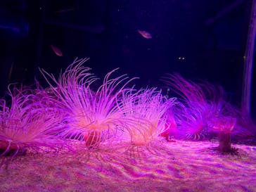 伊豆・三津シーパラダイスに投稿された画像（2023/11/24）