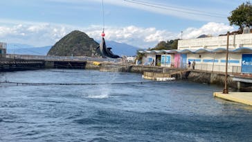 伊豆・三津シーパラダイスに投稿された画像（2023/11/24）