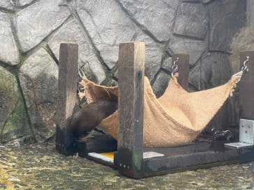 伊豆・三津シーパラダイスに投稿された画像（2023/11/24）