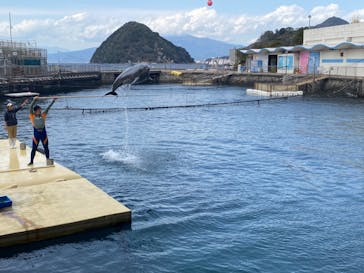 伊豆・三津シーパラダイスに投稿された画像（2023/11/24）