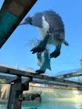 下田海中水族館に投稿された画像（2023/11/24）