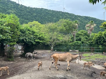 伊豆アニマルキングダムに投稿された画像（2023/11/24）