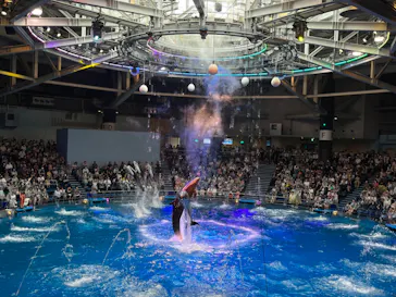 マクセル アクアパーク品川に投稿された画像（2023/11/24）