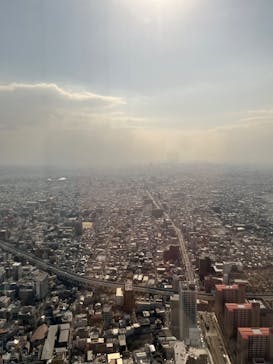 ハルカス300(展望台)に投稿された画像（2023/11/24）