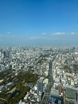 ハルカス300(展望台)に投稿された画像（2023/11/24）