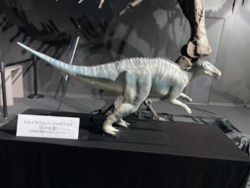 AOAO SAPPOROに投稿された画像（2023/11/24）