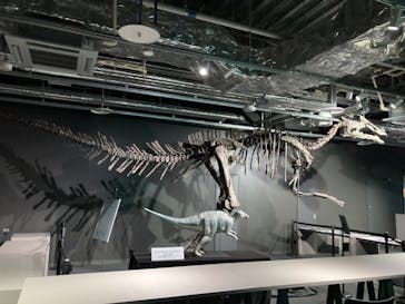 AOAO SAPPOROに投稿された画像（2023/11/24）