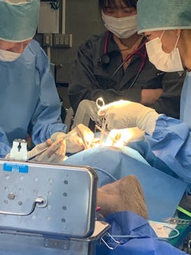 伊豆アニマルキングダムに投稿された画像（2023/11/24）