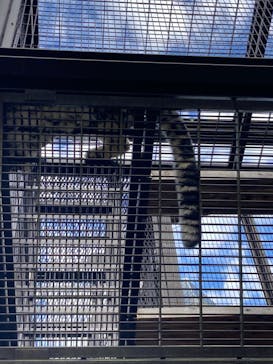 名古屋市東山動植物園に投稿された画像（2023/11/24）