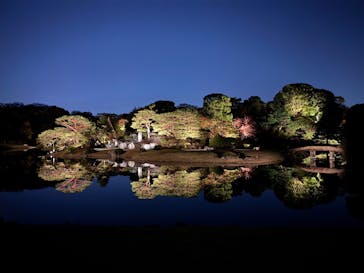 六義園に投稿された画像（2023/11/24）