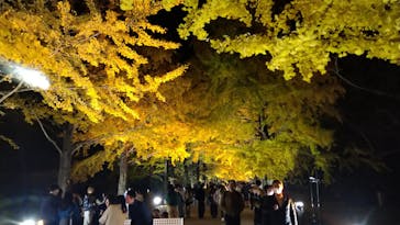 国営昭和記念公園 秋の夜散歩に投稿された画像（2023/11/24）