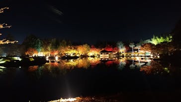 国営昭和記念公園 秋の夜散歩に投稿された画像（2023/11/24）