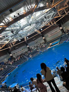 マクセル アクアパーク品川に投稿された画像（2023/11/24）