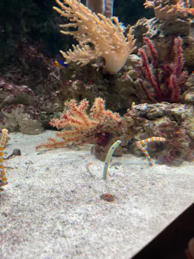 マクセル アクアパーク品川に投稿された画像（2023/11/24）