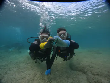 武藤潜水に投稿された画像（2023/11/24）