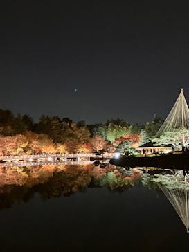 国営昭和記念公園 秋の夜散歩に投稿された画像（2023/11/24）