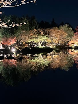国営昭和記念公園 秋の夜散歩に投稿された画像（2023/11/24）