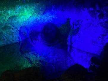 地底王国「美川ムーバレー」に投稿された画像（2023/11/24）