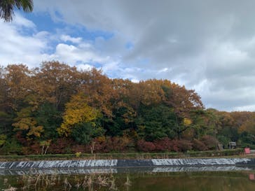 野外民族博物館 リトルワールドに投稿された画像（2023/11/24）