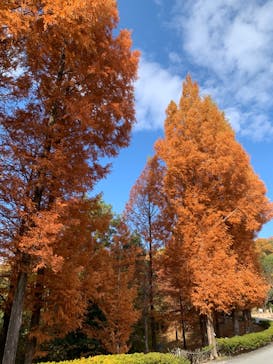 野外民族博物館 リトルワールドに投稿された画像（2023/11/24）