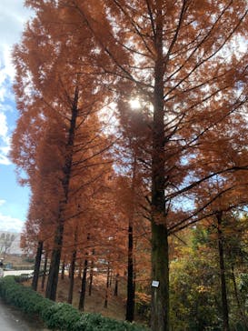 野外民族博物館 リトルワールドに投稿された画像（2023/11/24）