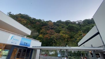 オーシャンスパ Fuuaに投稿された画像（2023/11/24）