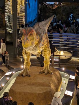 福井県立恐竜博物館に投稿された画像（2023/11/24）