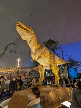 福井県立恐竜博物館に投稿された画像（2023/11/24）
