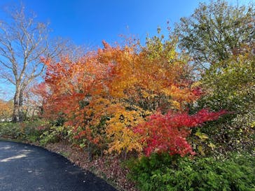 彫刻の森美術館に投稿された画像（2023/11/24）