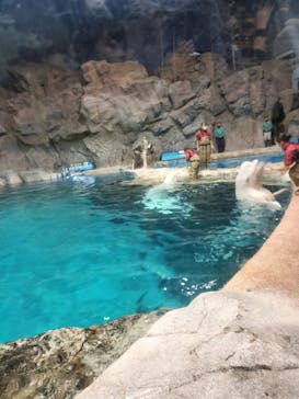 名古屋港水族館に投稿された画像（2023/11/24）