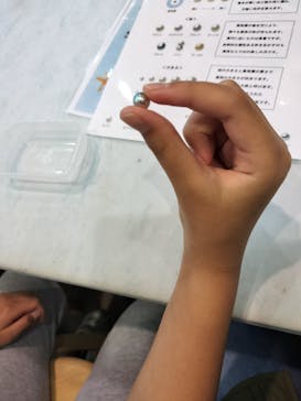 名古屋港水族館に投稿された画像（2023/11/24）