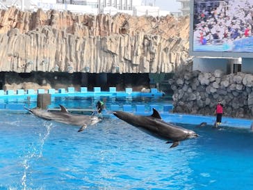 名古屋港水族館に投稿された画像（2023/11/24）