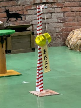 那須どうぶつ王国に投稿された画像（2023/11/24）