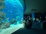 サンシャイン水族館に投稿された画像（2023/11/24）