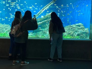 サンシャイン水族館に投稿された画像（2023/11/24）