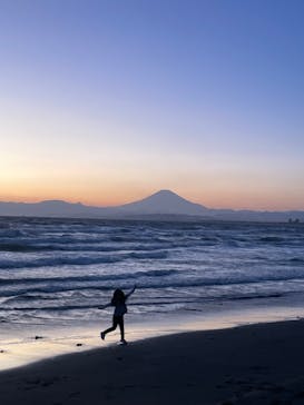 新江ノ島水族館に投稿された画像（2023/11/24）