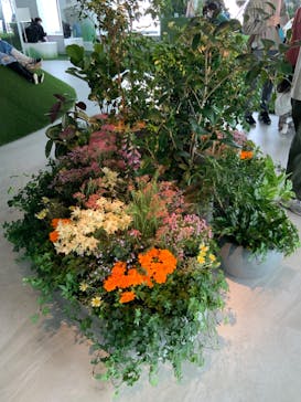 サンシャイン60展望台に投稿された画像（2023/11/24）