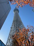 東京スカイツリーに投稿された画像（2023/11/24）
