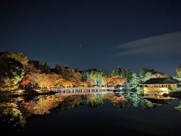 国営昭和記念公園 秋の夜散歩に投稿された画像（2023/11/24）