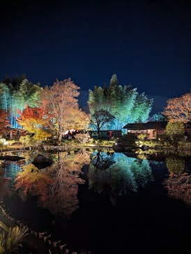 国営昭和記念公園 秋の夜散歩に投稿された画像（2023/11/24）