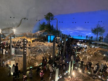 福井県立恐竜博物館に投稿された画像（2023/11/24）