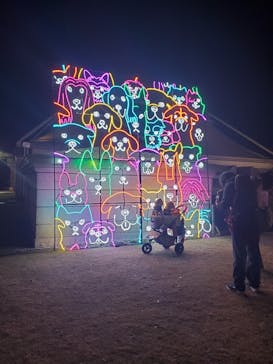 神戸イルミナージュに投稿された画像（2023/11/24）