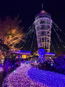 江の島シーキャンドルに投稿された画像（2023/11/24）