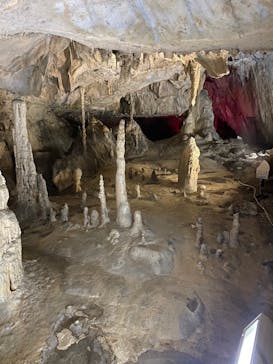 あぶくま洞に投稿された画像（2023/11/24）